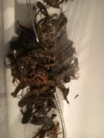 IMG-20191010-WA0000.webp