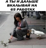 13539814.webp