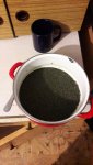 IMG_20191014_164305_188.jpg