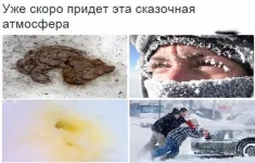 13543519.webp