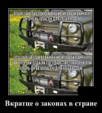13555258.webp