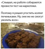 13558955.webp