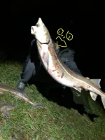 2019-10-19-09-10-03.webp