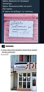 13572951.webp