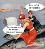 13587453.webp