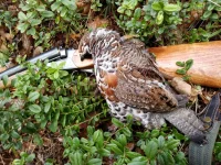 IMG-20191102-WA0006.webp