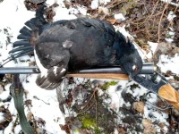 IMG-20191102-WA0004.webp