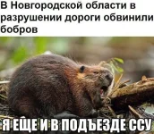 image (1).webp