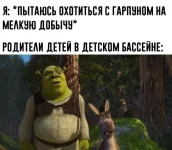 13647148.webp
