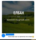 FB_IMG_1573545127405.webp