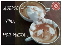 IMG-20191114-WA0001.webp