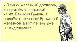 223163932_82fc227fcb448b6a83976f4a623be967_800.webp