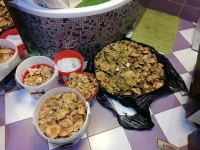 IMG_20191020_204910.webp
