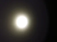 загружено (1).webp