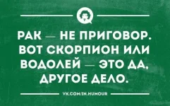 qvMjChAg2Cc.webp