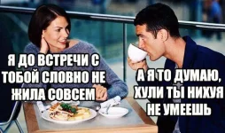 13755130.webp