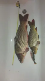 IMG-20191216-WA0009.webp