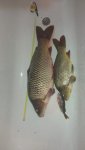 IMG-20191216-WA0009.jpg