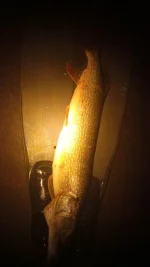 IMG-20191216-WA0004.webp