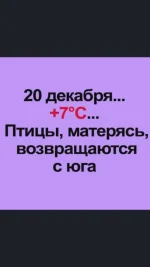 IMG-20191221-WA0016.webp