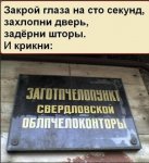 13803118.jpg