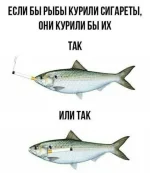 13872440.webp