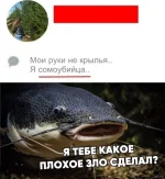 n5oVOfrXOoY.webp
