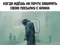 13903096.webp