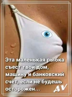 13953033.webp