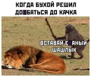 IMG-712080fba425951c40b79a58dc4b0f28-V.webp