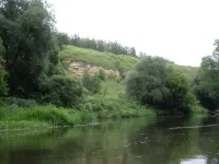 приток оки 2.webp