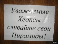 3631_1245262743_10512.webp