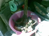 29082010.webp
