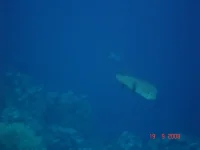 DSC03072.webp