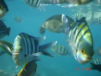 DSC02878.webp