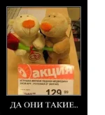 Безымянный.webp