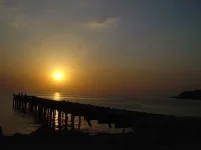 DSC03325.webp