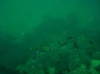 DSC03437.webp