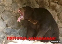 тяпница.webp
