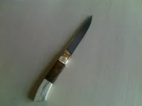 03092010078.webp