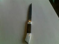 03092010079.webp