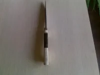 03092010080.webp