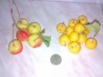 03092010214.jpg