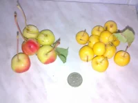 03092010214.webp