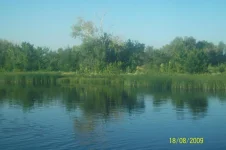 100_4175.webp