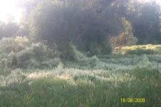 100_4176.webp