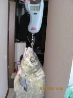 комс 09 2010.webp