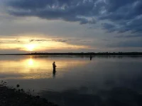 SDC11730.webp