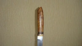 DSC01445.webp