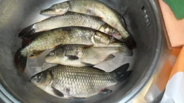 Ока 30.09 (1).webp